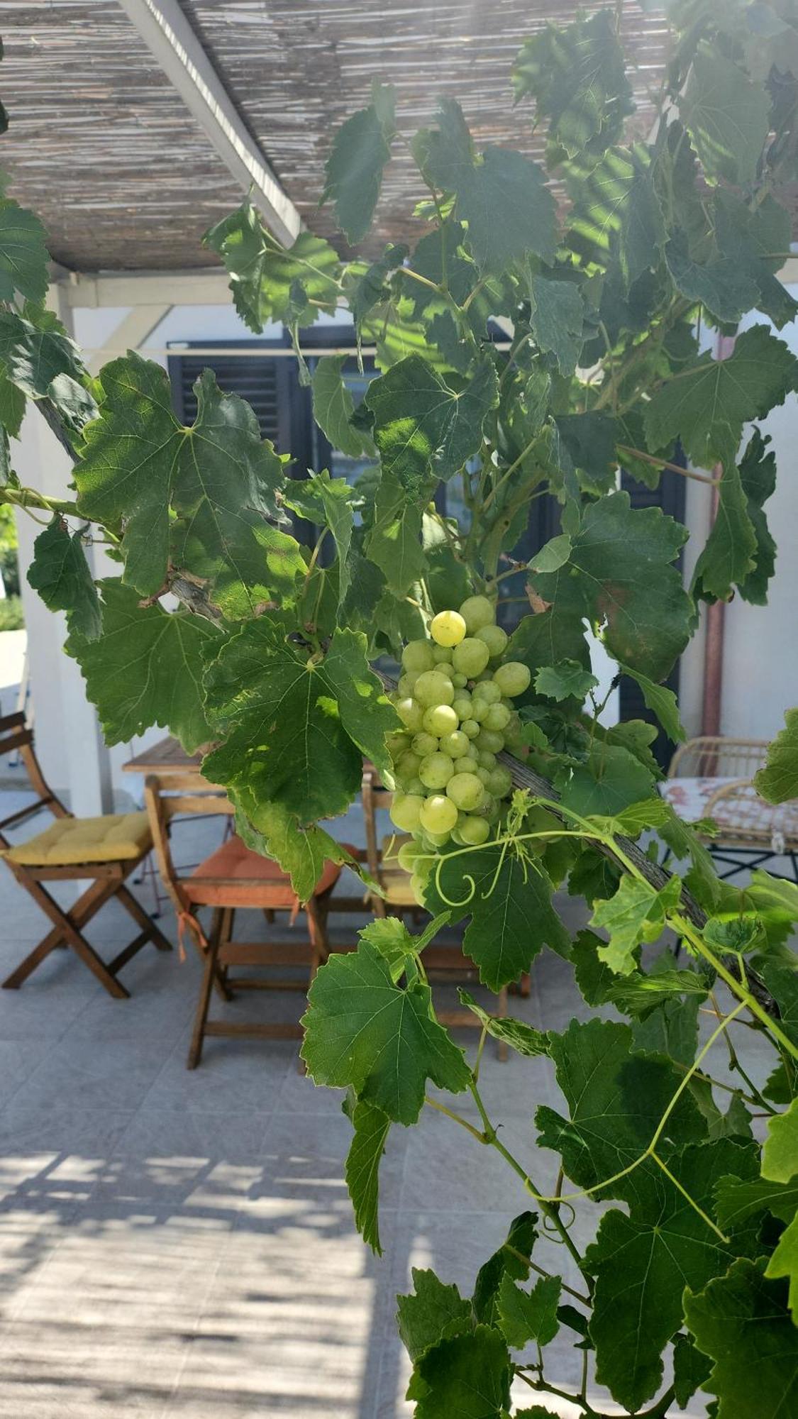 Villa Andrea San Lorenzo Ното Екстериор снимка